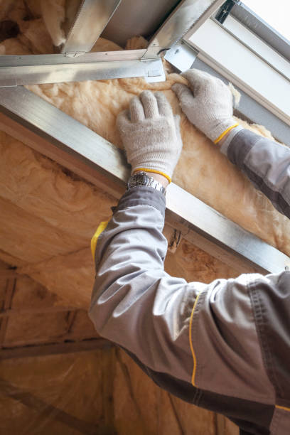 Best Insulation for New Construction  in De Graff, OH