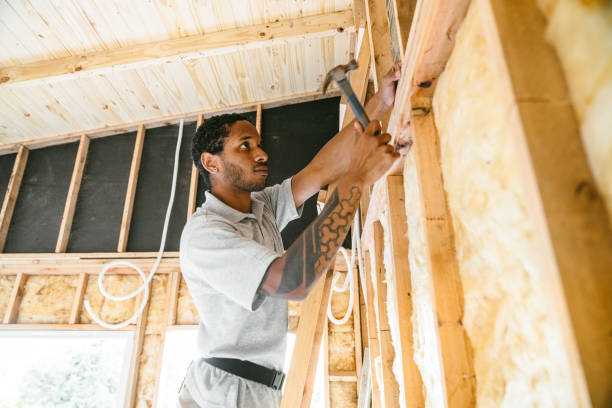 Best Insulation Removal  in De Graff, OH