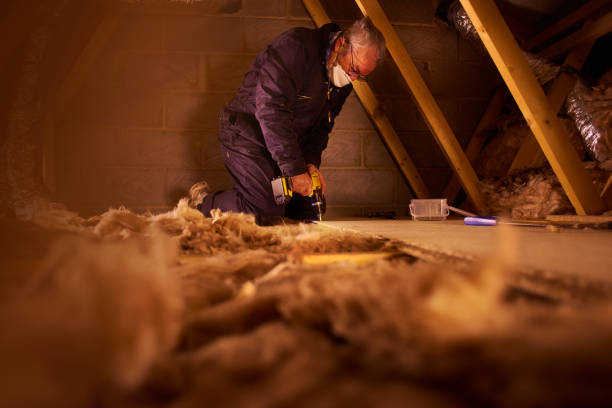 Best Energy-efficient Insulation  in De Graff, OH